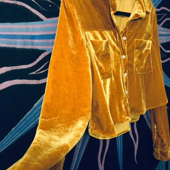 Velour Button down Crop top - Picture 3 of 3